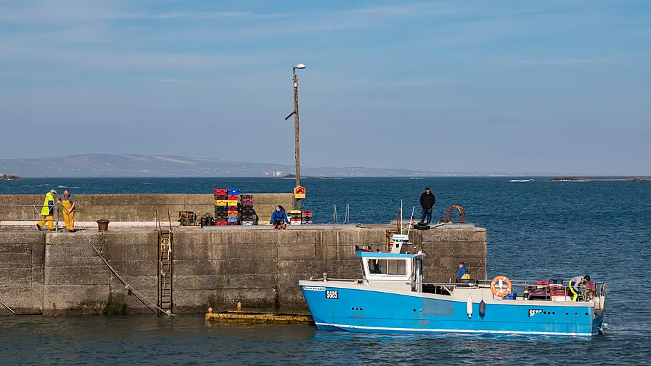 Fuel costs and quotas are leaving trawlers docked Image