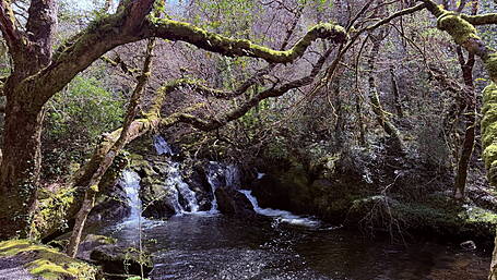 Reader’s Picture of the Week Image