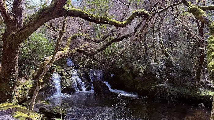 Reader’s Picture of the Week Image