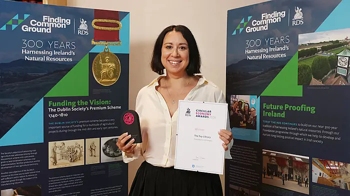 Toy Library in Carrigaline wins innovation award Image