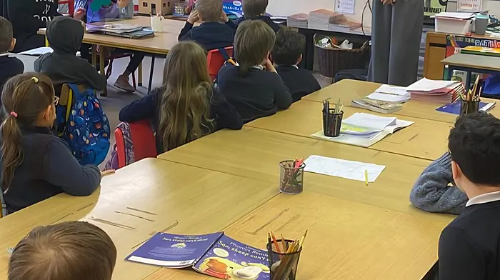 Pupils at Dromclough National School learning about the Asian Hornet from beekeeper Eleanor Fitzgerald.