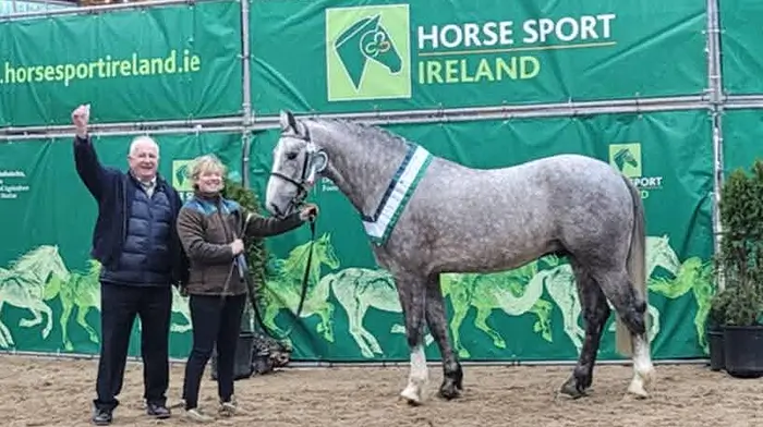 Sean O’Sullivan from Barryroe with his stallion Coom View Legacy who was recently granted approval as a Class 1 Irish Draught stallion. The exceptional horse is set to be a valuable addition to the West Cork community and will stand at Sean’s Farm in Barryroe. Also included in the photo is Donna Cowens.