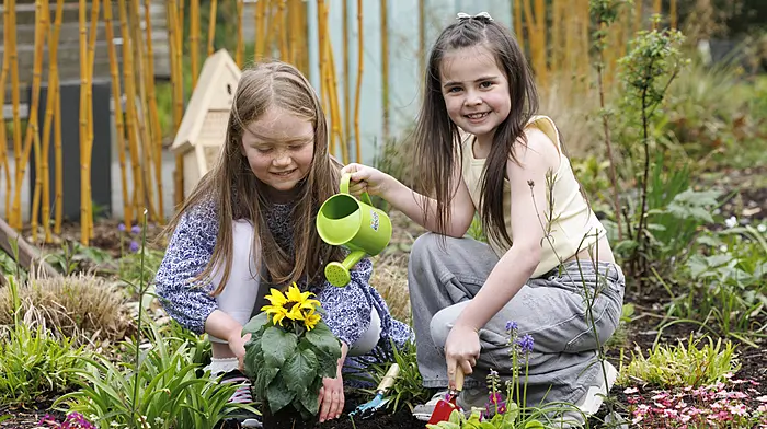 Polly Plunkett (7) and Hailey Whelan (7) from Dublin at the launch of Together For Hospice’s appeal.  (Photo: Conor McCabe)