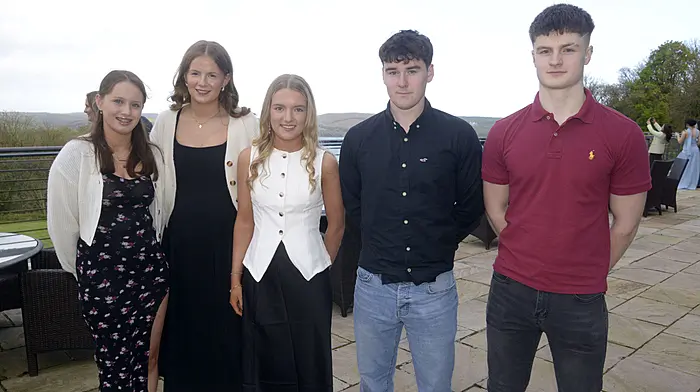 Skibbereen students help at Lourdes Image