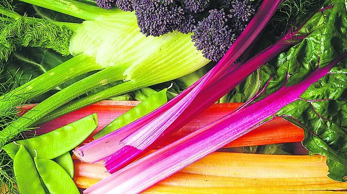 GARDENING: Protect vulnerable plants from last of the frosts Image