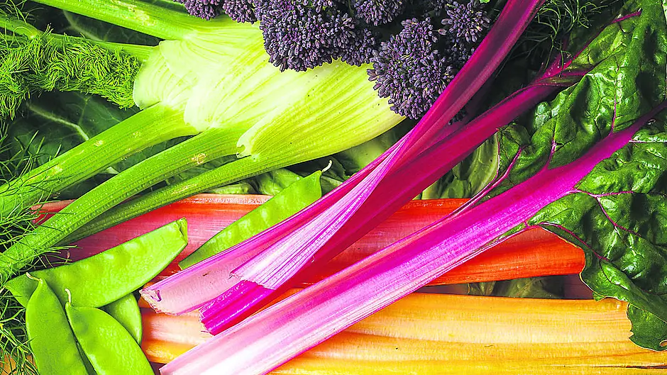 GARDENING: Protect vulnerable plants from last of the frosts Image