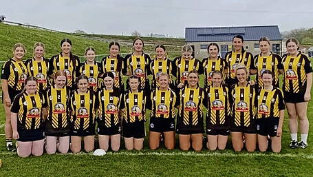 CAMOGIE LEAGUE: Kilbrittain-Timoleague into last four of county league Image