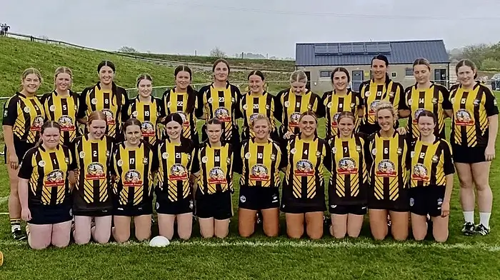 CAMOGIE LEAGUE: Kilbrittain-Timoleague into last four of county league Image