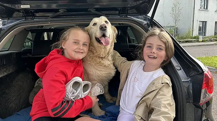 Kylie and Daisy dog minding Nanook in Clonakilty last Saturday. Photo courtesy of Eoghan Daly.