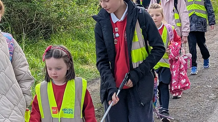 The junior room from St James’ National School out and about on a nature walk.