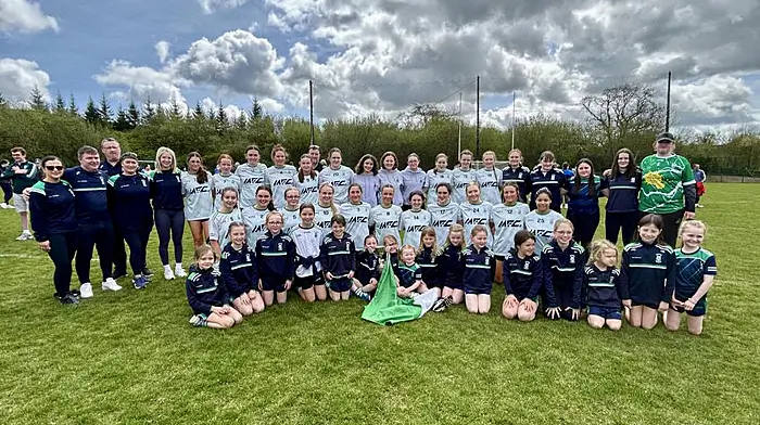 Ilen Rovers’ patience rewarded with Cork junior D crown Image