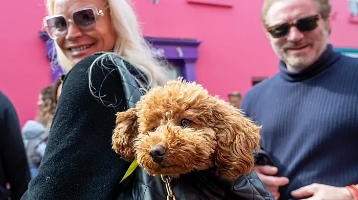Shirley smells something delicious as she is carried around the Kinsale Street Feast with Melissa O’Gorman and Tom O’Gorman from Kinsale on Saturday. (Photo: John Allen)