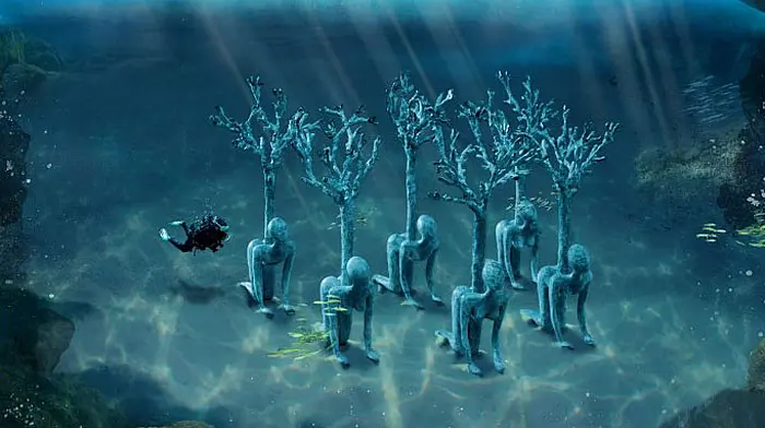 What lies beneath: Plans for sculpture garden in Bantry Image