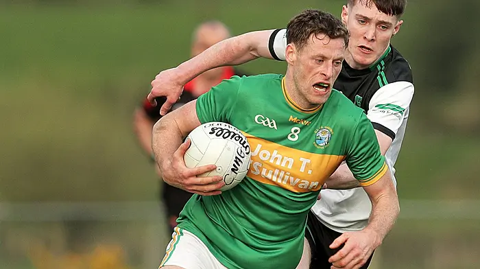 Finbarr Harrington: These lads are totally dedicated to the survival of our club and the future is definitely brighter for Garnish Image