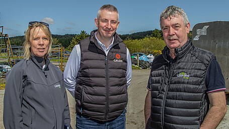 Farm Solar Programme can help reduce electricity costs significantly Image