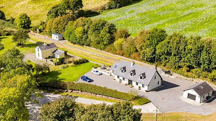 TII to fund purchase of two houses on Kinsale greenway route Image