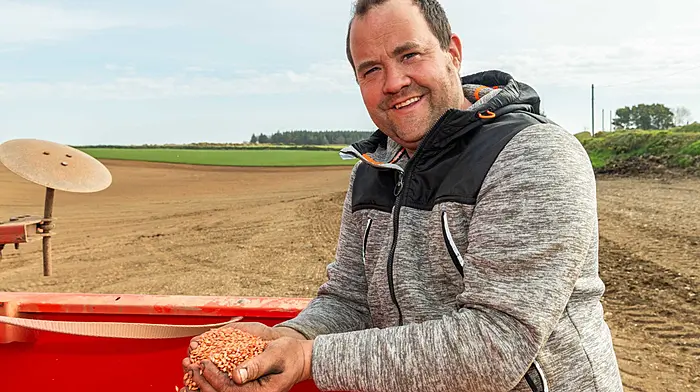 Tillage farmer Tim O'Connell sets spring barley 'Geraldine' variety in his 80 acre field in Hacketstown, West Cork. Tim set at 76kg per acre using a Kuhn Conventional Till Seed Drill and a New Holland T7.230 tractor. (Photo Andy Gibson)