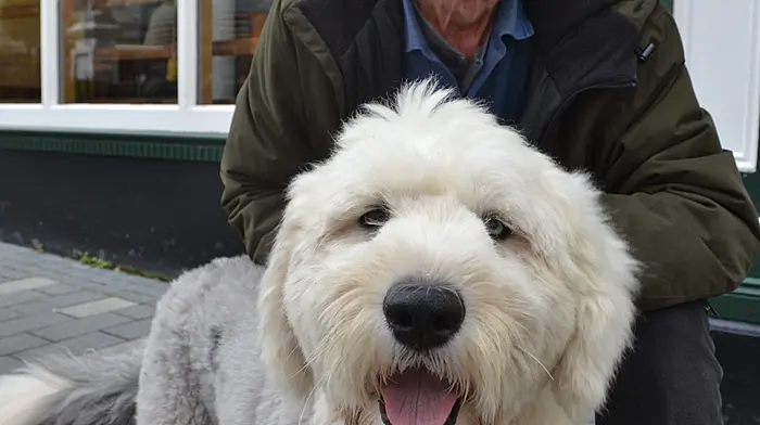 Tony Boadle with Cora who was happy to smile for the camera in Skibbereen last weekend. (Photo:Anne Minihane)