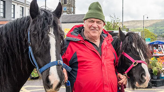 Pat O'Leary from Bantry showing off his horses Lia and Clancy at the Bantry market last Friday. (Photo: Andy Gibson)