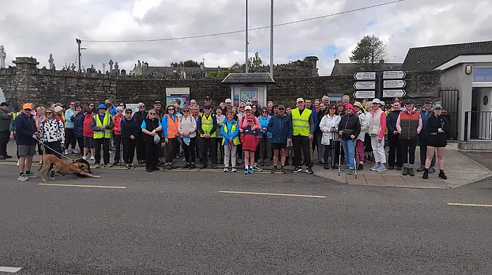 The group of walkers who took part in the Inchybridge Loop Walk last Monday.