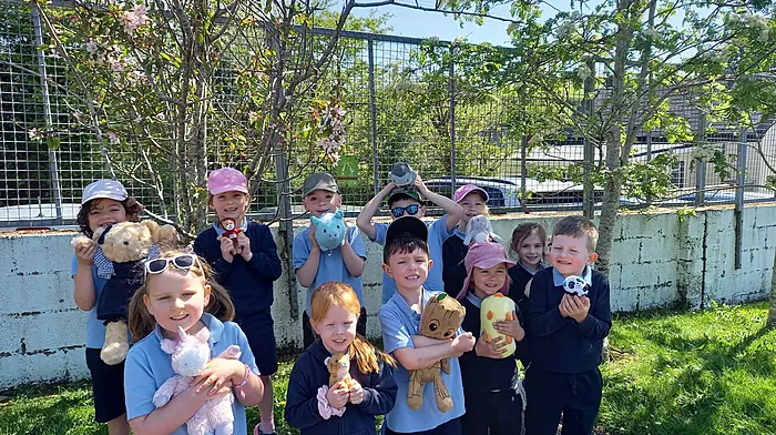 Junior and senior infants at Reenascreena National School enjoyed a teddy bear’s picnic out in the sun.