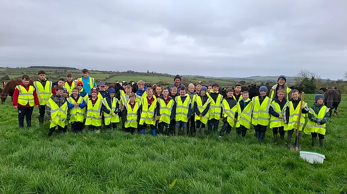 Charlie Coleman, Constantin Borcsa, Darragh O’Regan, Adam O’Shea, Oran Keating, Milan Hornyak, Fionn Courtney, Luca McCarthy, Matthew Donelan, Micheál Gleeson, Fionn Crowley, James Hayes, Cayden Hayes, Michael Crowley, James Hayes, Daniel McConville, John Keenan, Nathan Borcsa, Helena Kingston, Leon Croston, Lorand Orosz, Jack Collins, Dylan Hayes, Adam Dinan, Billy Hayes, Tiernan Crowley, Dan Dineen, Seánie O’Neill, Danny McCarthy, Denis O’Regan, Danny Collins, Cian O’Mahony, Odhran O’Mahony, Joe Connolly, Cayden O’Donovan and Joe Hayes.