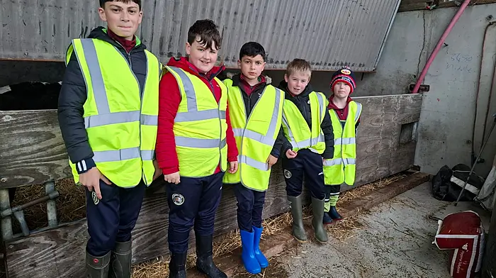 Constantin Borcsa, Charlie Coleman, Nathan Borcsa, Cayden Hayes and Dylan Hayes.