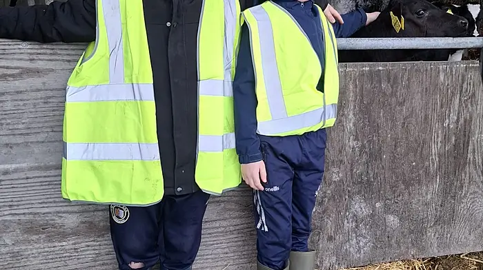 Matthew Donelan and Fionn Courtney.
