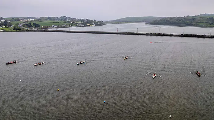 The Lagoon in Rosscarbery was a hive of activity. (Photo: Andy Gibson)