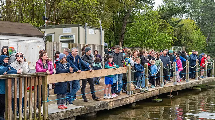 Spectators looking on at this year's regatta. (Photo: Andy Gibson)