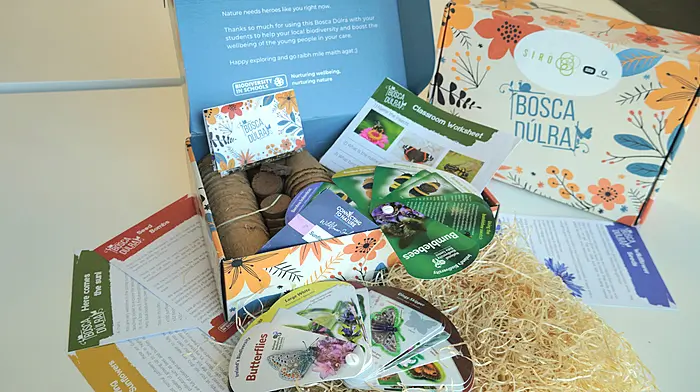 Schools chosen to take part in pollinator project Image