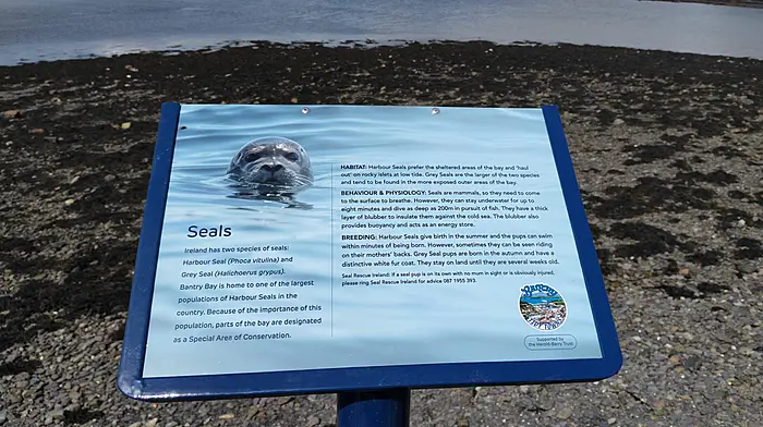 New signage at the Béicín Image