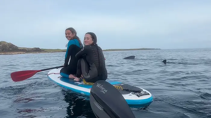 WATCH: Students’ encounter with shark Image
