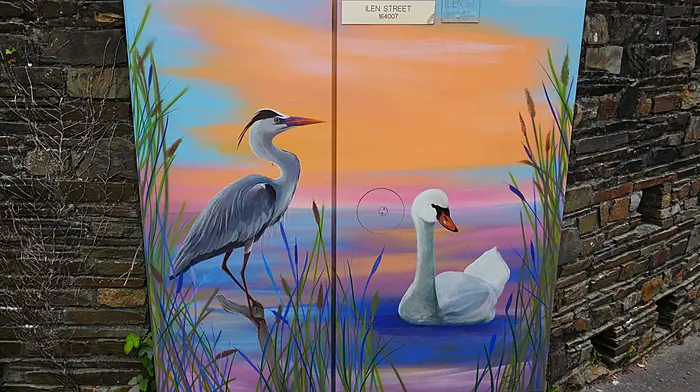 Utility boxes in Skibbereen get arty makeover Image