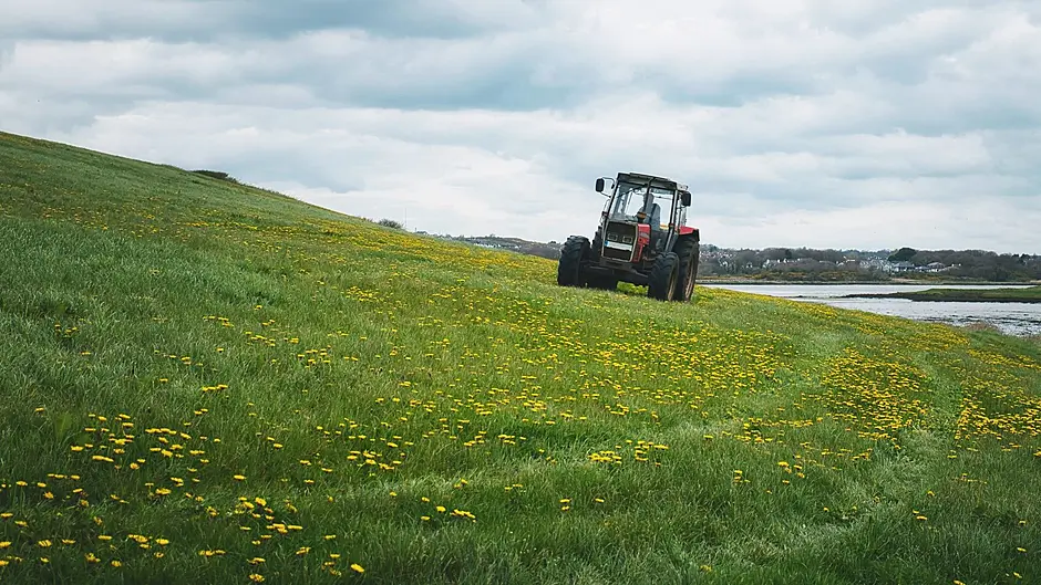More than 4,000 Cork farmers and contractors receive fuel support, figures show Image