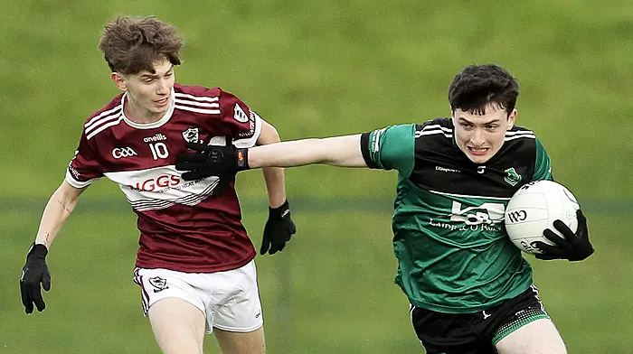 Clann na nGael guarantee progression in county junior B football championship with game to spare  Image