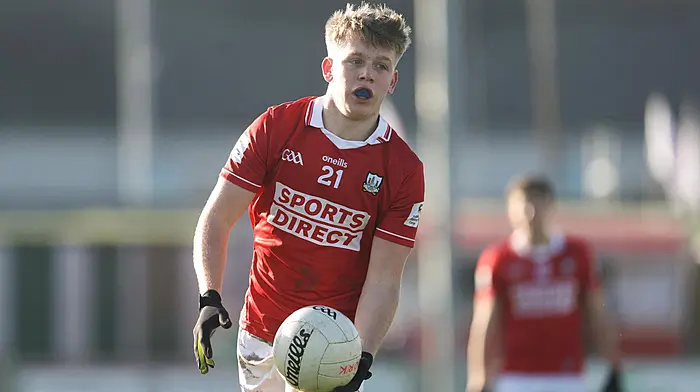 Dara Sheedy in race to be fit for Cork's trip to Donegal Image