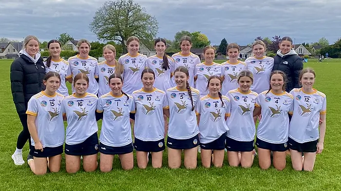 CAMOGIE ROUND-UP: Bandon denied by Milford in county minor B league final Image