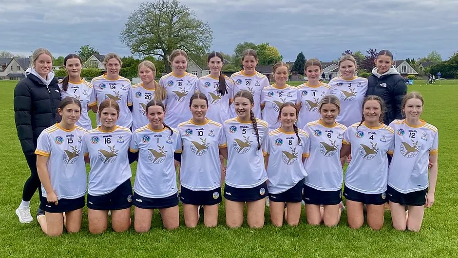 CAMOGIE ROUND-UP: Bandon denied by Milford in county minor B league final Image