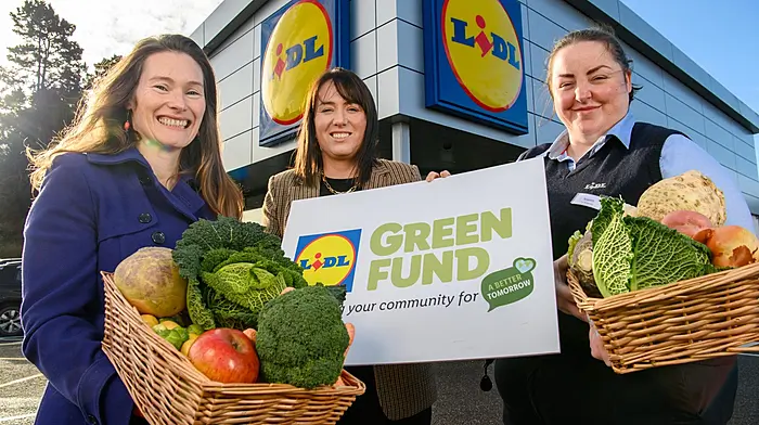 Lidl Ireland calls on Cork entries for Green Fund Image