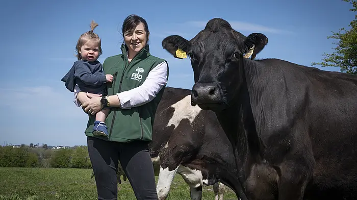 Cork bids for second win in young farmer awards Image