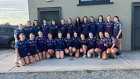 Barryroe crowned county league junior A champions Image
