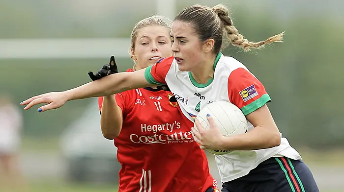 Munster senior B football final heartbreak for Cork Image