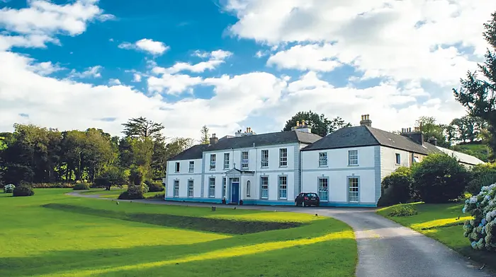 Green Skibbereen to close CECAS site Image