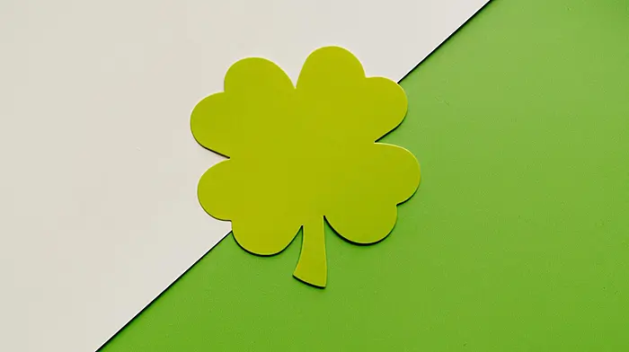 Lottery vs Online Casinos: What Irish Players Notice Between Both Options Image