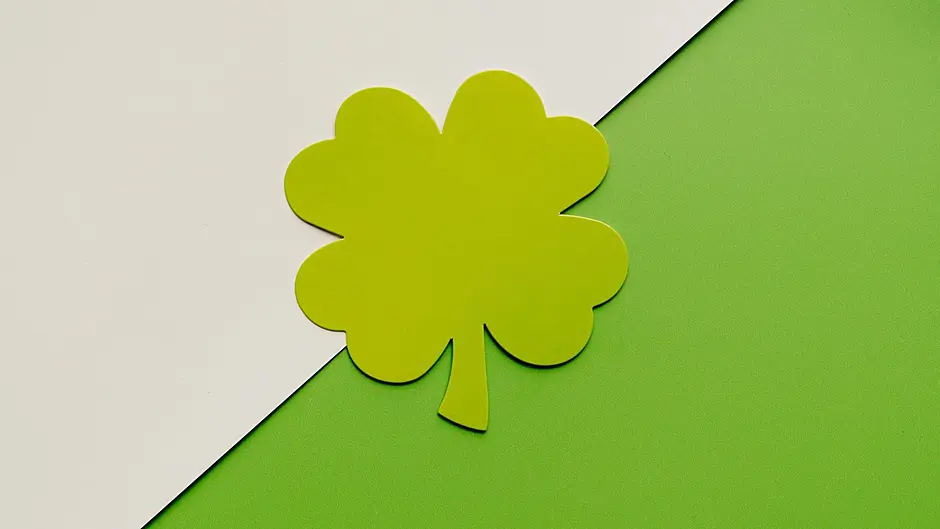Lottery vs Online Casinos: What Irish Players Notice Between Both Options Image