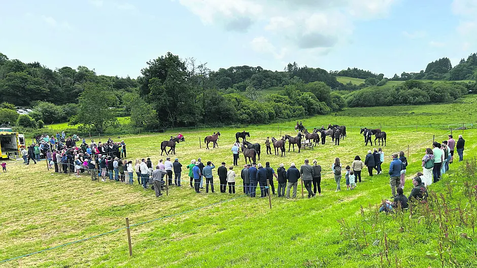 Full schedule for Leap Show as top family day out is promised Image