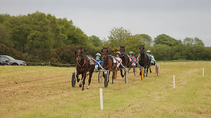 Fairplay Briolais shines at Manch for Dunmanway father and son team Image