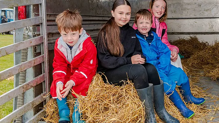 Bandon, West Cork, Ireland. 17th May, 2026. Bandon Agricultural Show took place on Sunday last. The show offered classes from cattle and horses to horticulture and poultry and everything inbetween.  Taking shelter from the rain in their cattle trailer were Darragh; Grace & Cian Bryan and Aoife Hawkesworth, all from Fountainstown, Co. Cork.  Andy Gibson.