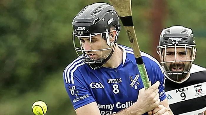 Bantry Blues and Gabriel Rangers through to last eight of confined county junior B hurling championship Image